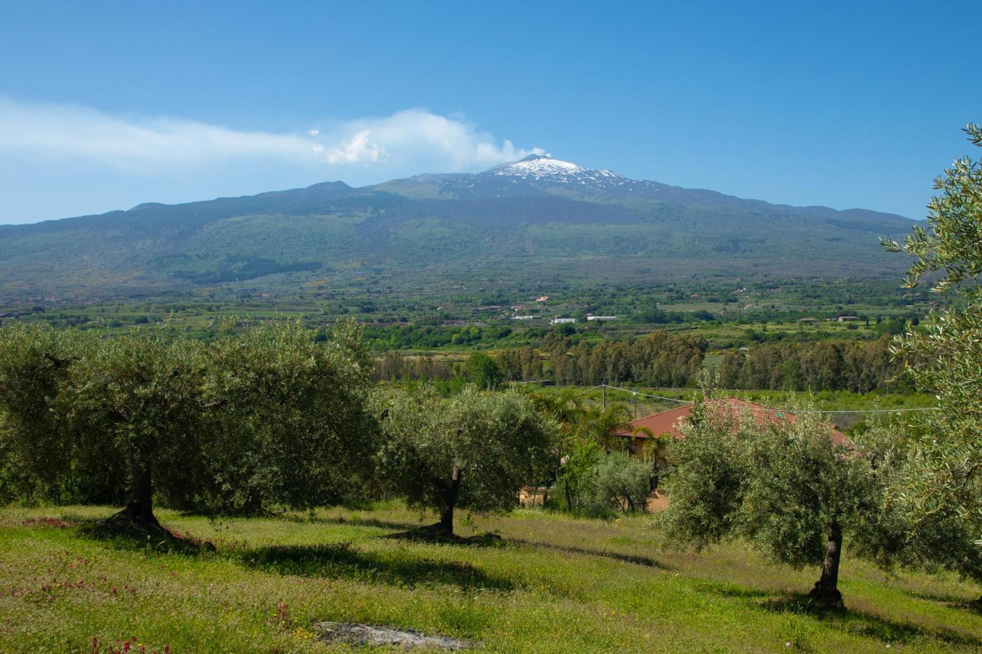 B&B Affittacamere Al Vulcanetto Moio Alcantara المظهر الخارجي الصورة